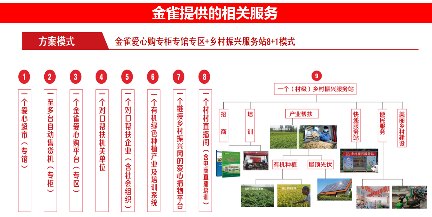 金雀爱心购《专区专馆专柜+乡村振兴服务站》8+1方案