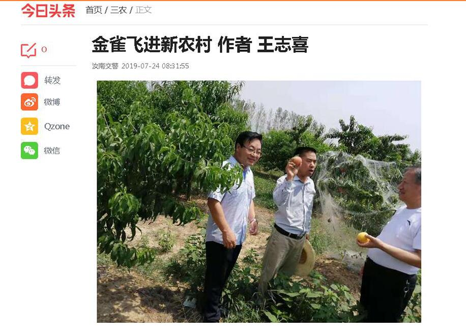 金雀飞进新农村