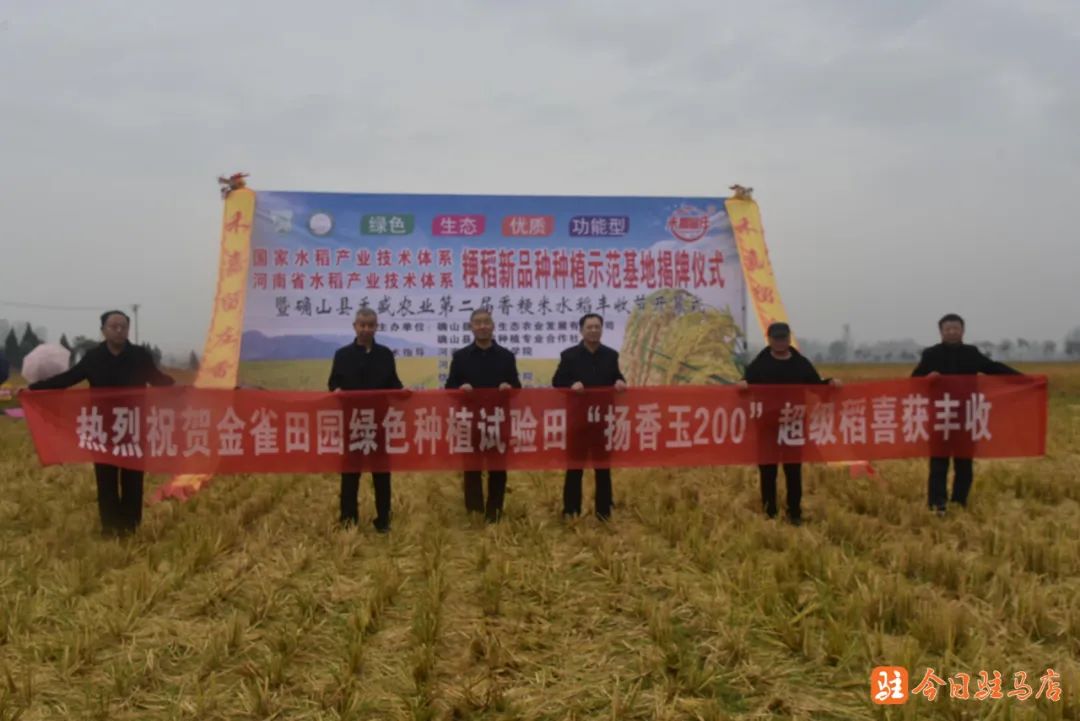 河南金雀田园农业科技有限公司：为“宁香粳9号”插上“科技翅膀”