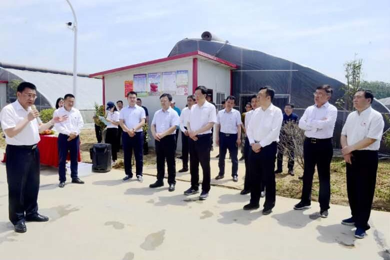 开封市四大班子考察团，来到汝南县，学习考察这两项工作！