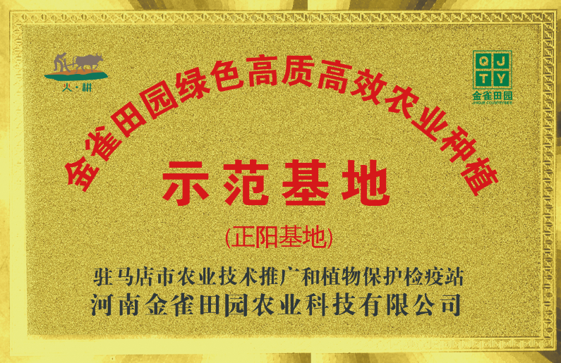 正阳梅营种植基地