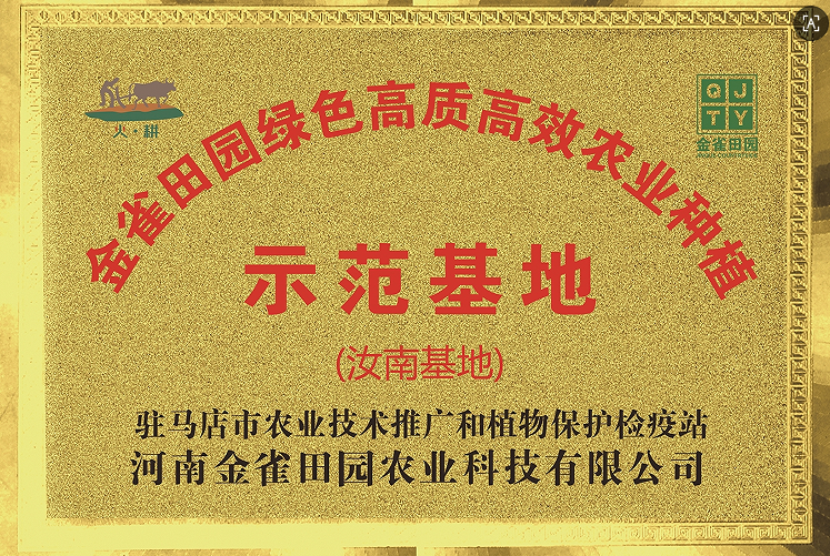 汝南种植基地